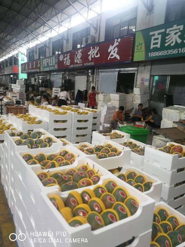 临沂农产品批发城第二届水果节开幕 中外水果免费吃