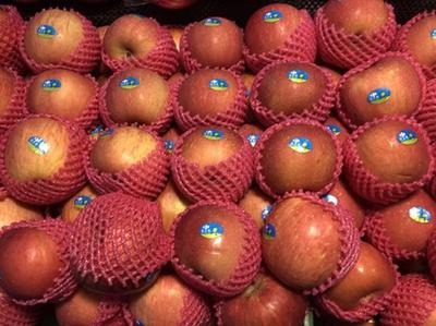 2月26日青岛商超及批发市场果蔬等价格 水果上市量稳定充足